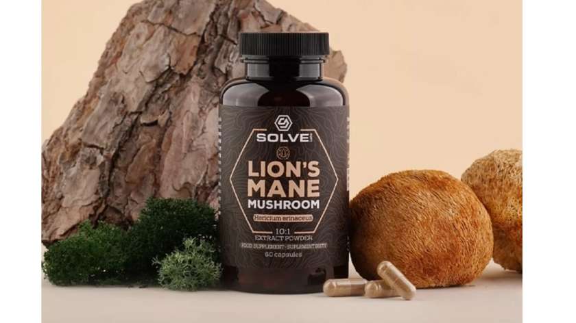 Solve Lion's Mane (Soplówka jeżowata) 10:1 Ekstrakt 60 Kapsułek