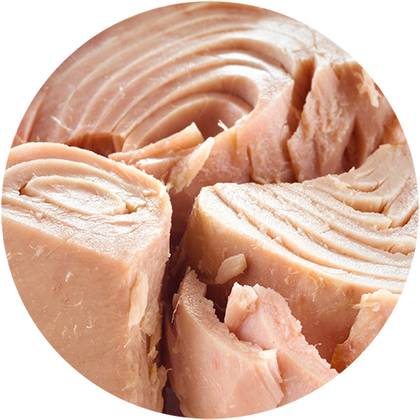 Tuna
