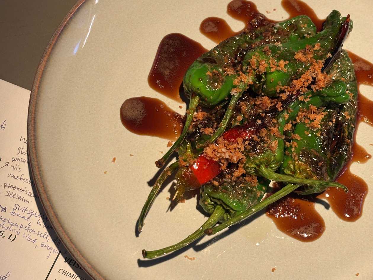 PADRONE PEPPERS AND CHILI