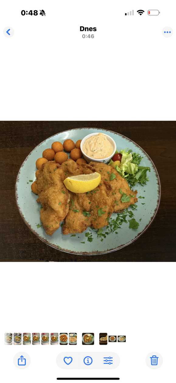 Fried Pork Tenderloin Cutlets