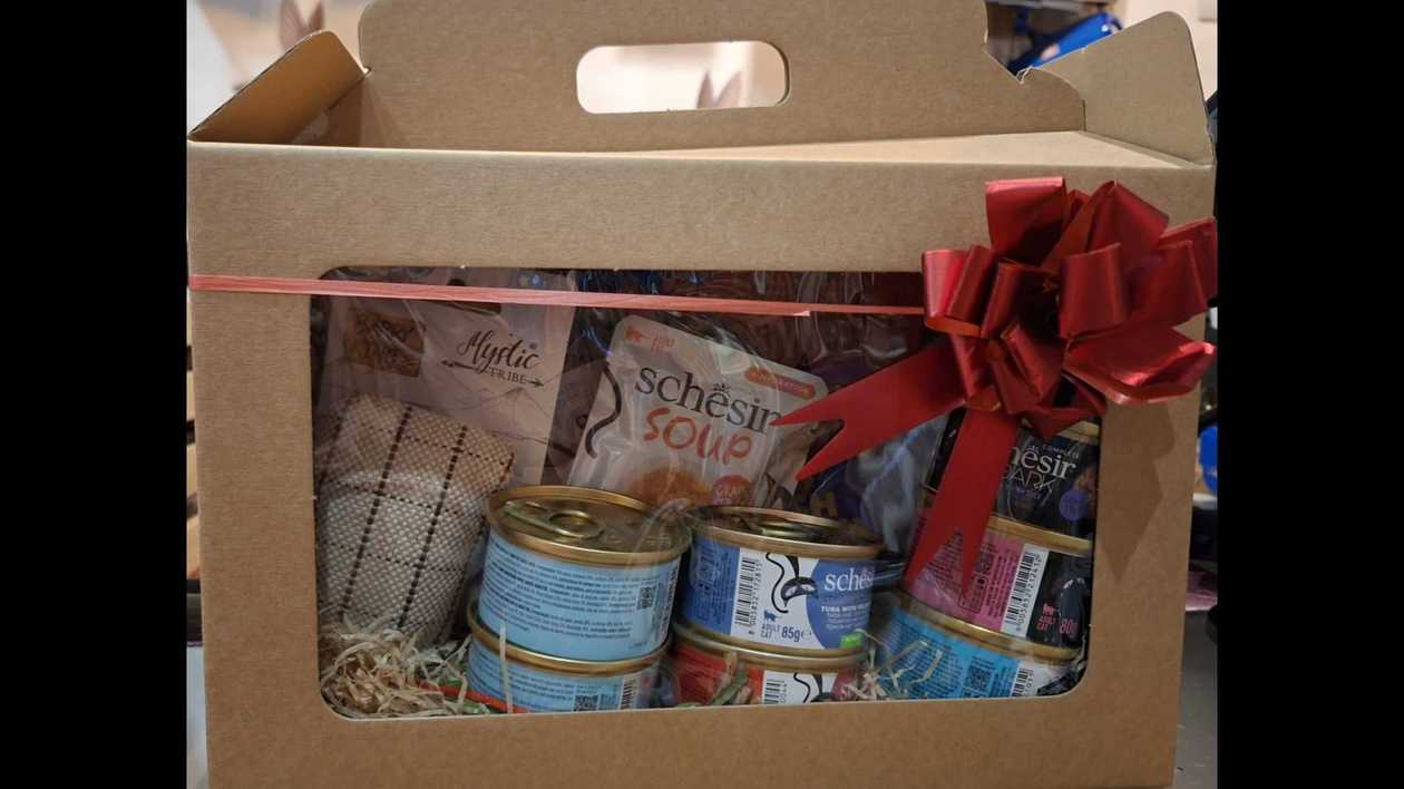 assorted cat gift hamper with free 5ltr cat litter