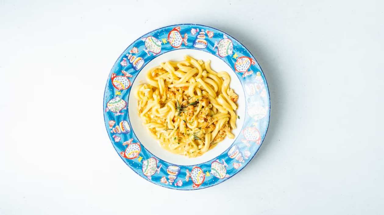 Conchiglie Granchi di Fiume