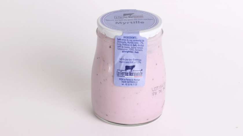 Yogourt myrtille