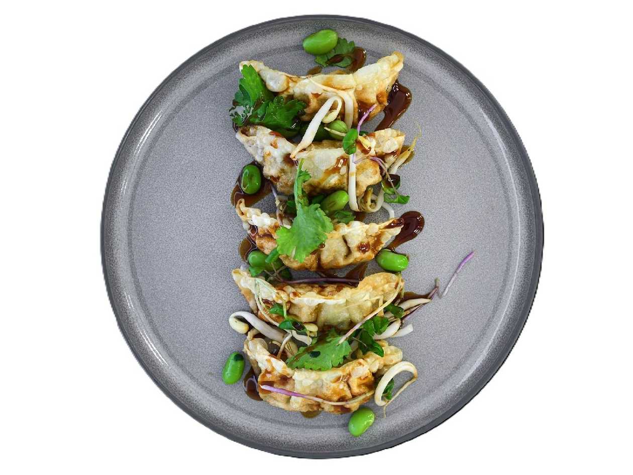 Chicken Gyoza