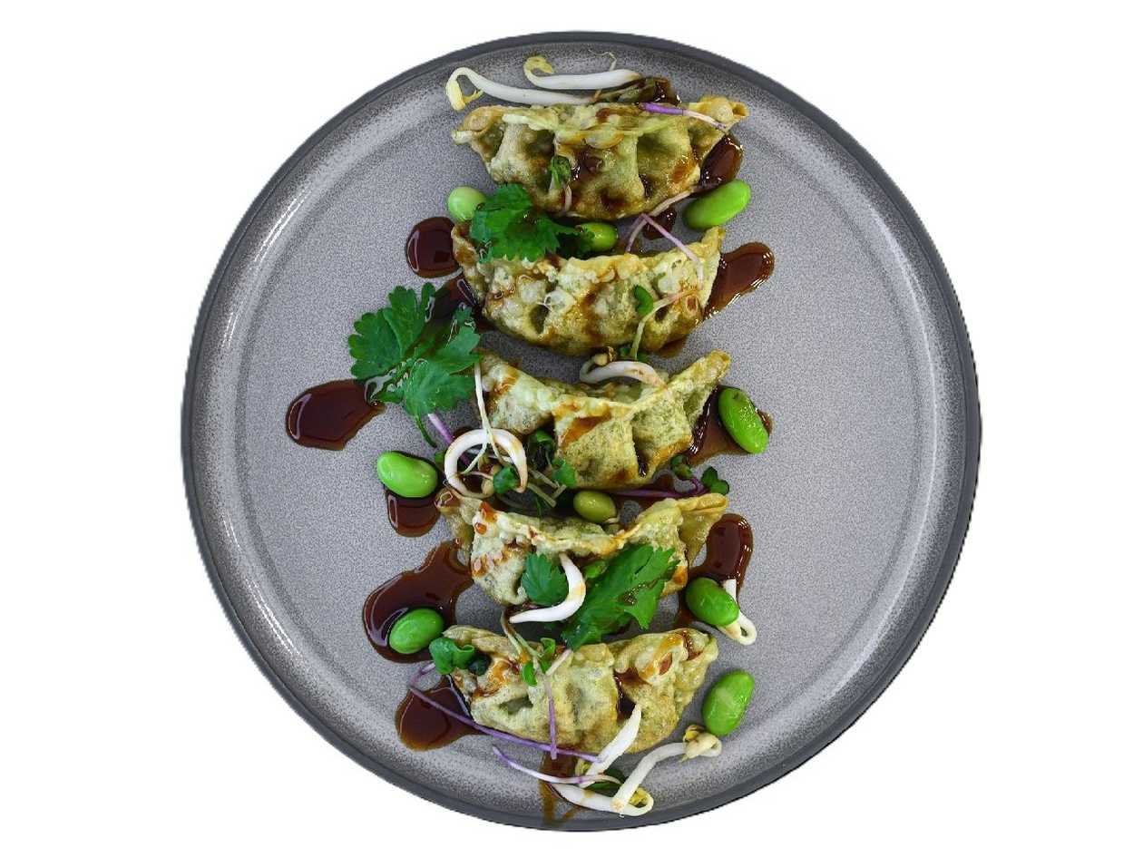 Vegetarian Gyoza