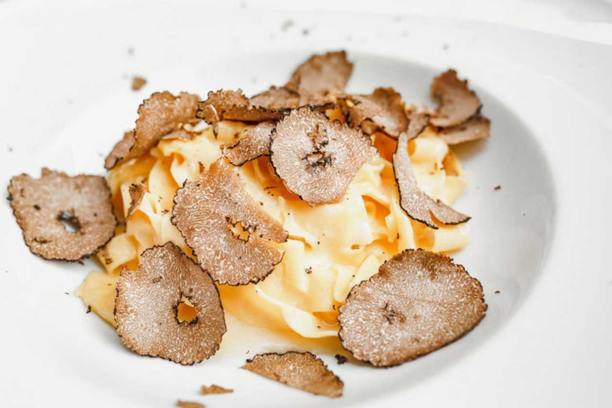 Truffle Mushroom