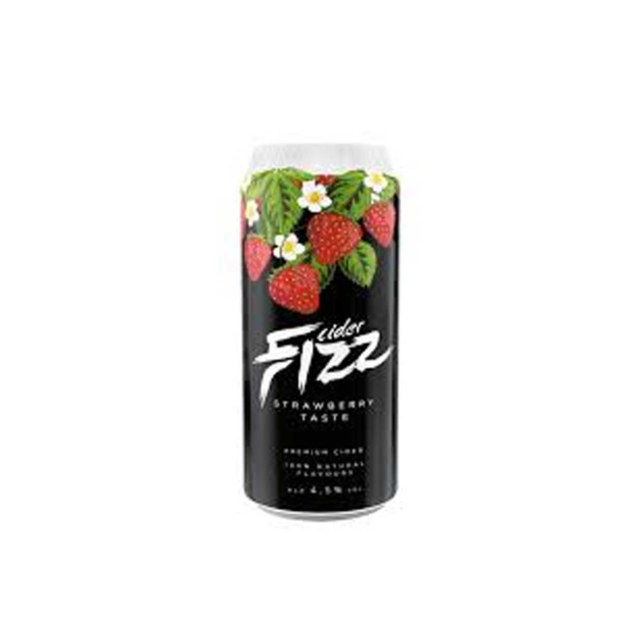 Fizz 0,5 l