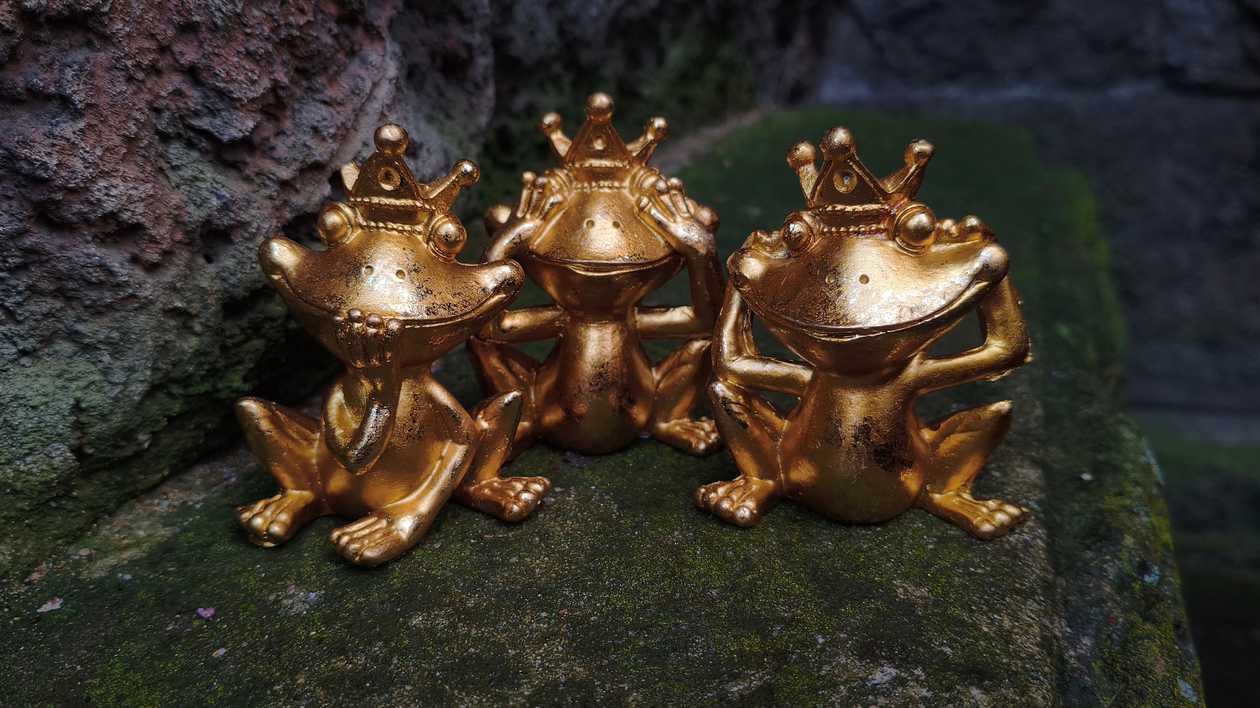 Golden Frog