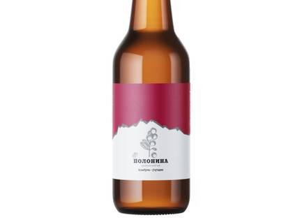 Gogotsi Kombucha
