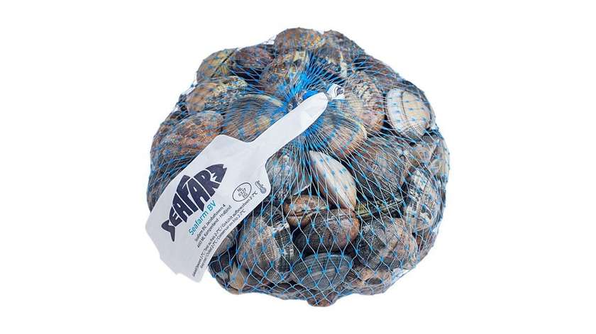 Clams 1 kg