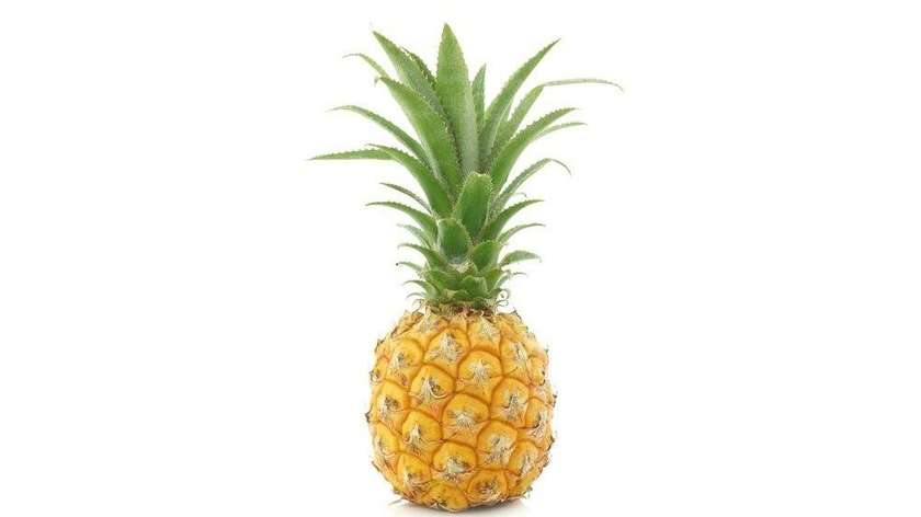 Mini Pineapple 1 Piece