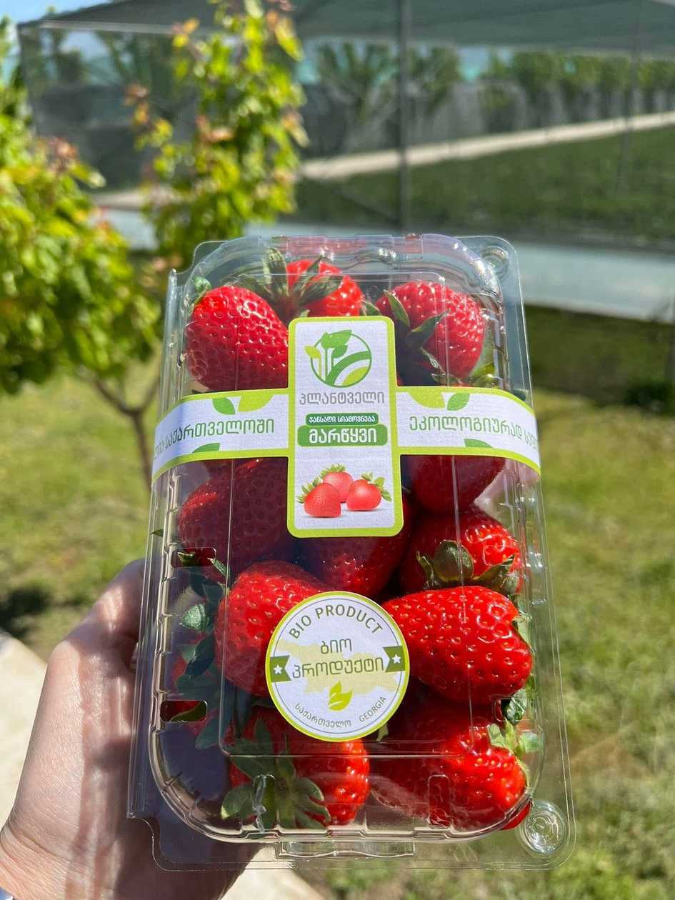 Georgian Organic Strawberries “Plantveli” 0.65-0.68Kg
