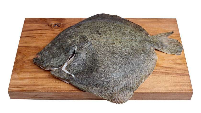 Gutted Turbot (approx. 2kg)