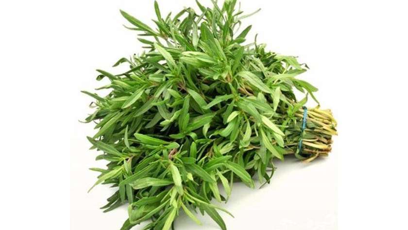 Savory 50G