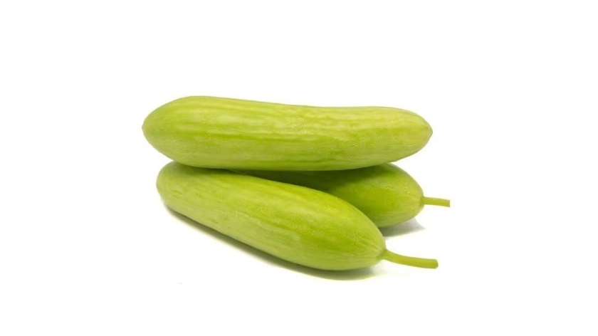 Glass Cucumber "Planta" 0.5-0.6Kg