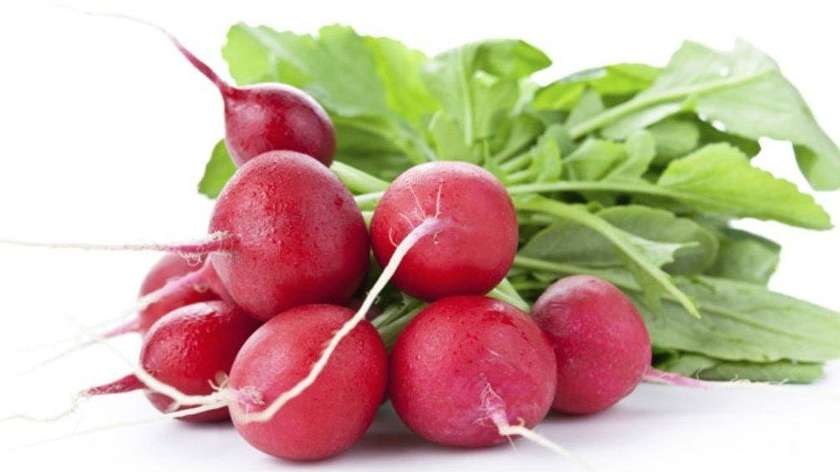 Radish Of The Month (1 Cone)