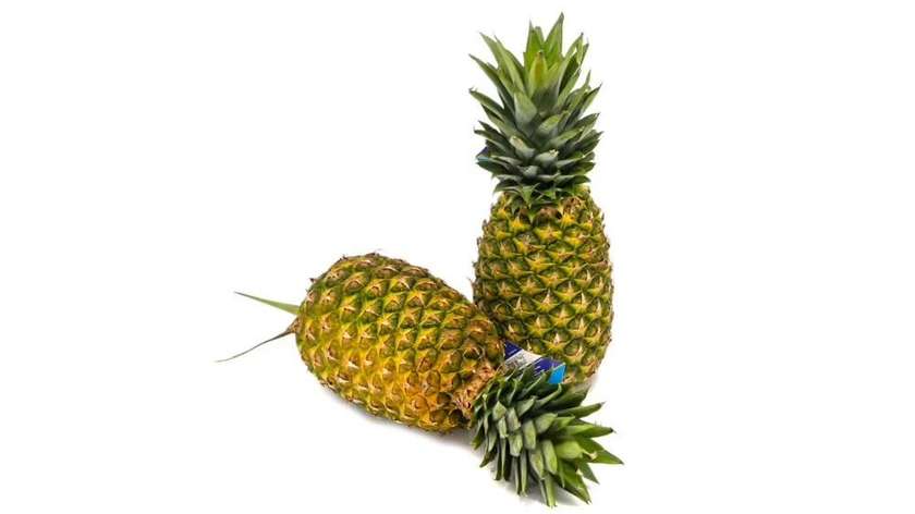 Pineapple 1 Piece 1.8-1.9Kg