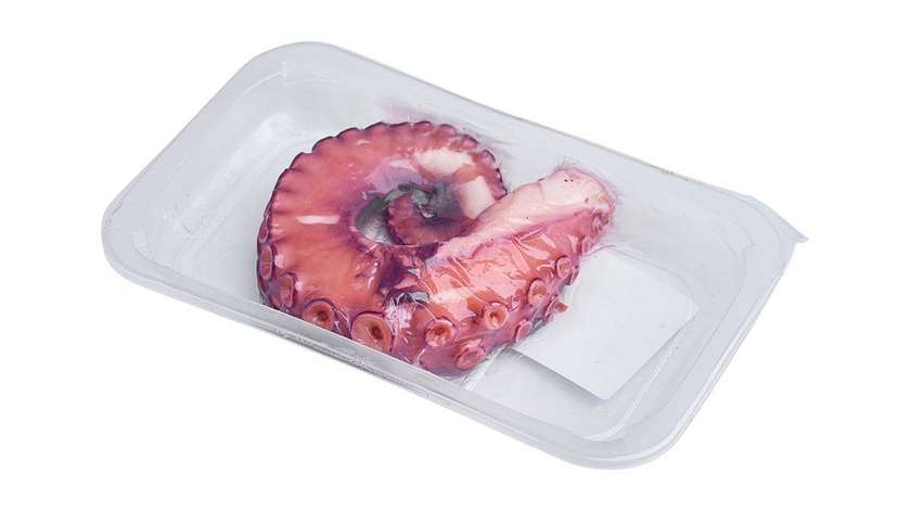 Octopus Tentacle, boiled, approx. 300 g