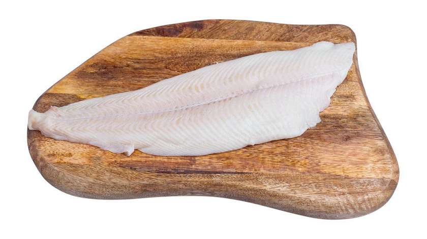 Wild Halibut Fillet 500 g