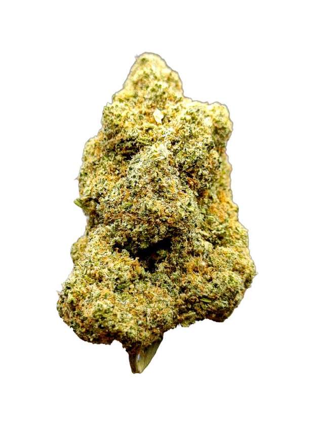 Flor de CBD Indoor Girl Scout Cookies 5g