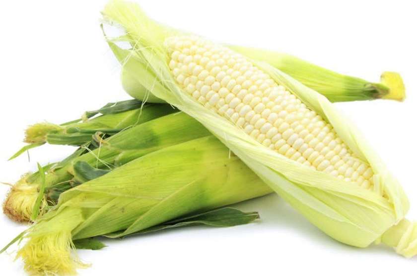 1 Piece Of Cracked Corn