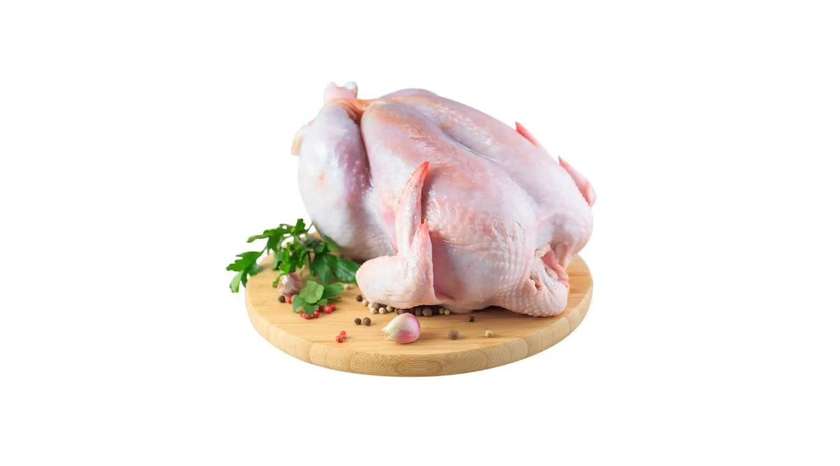 Chicken 1 Piece Medium 1,7-1,8 Kg