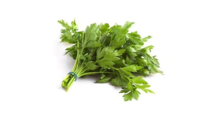 Celery 100G