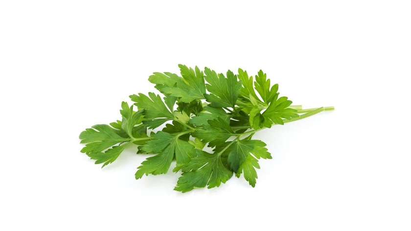 Parsley 100G