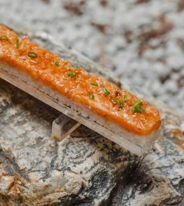 Oshi Sushi - With Salmon