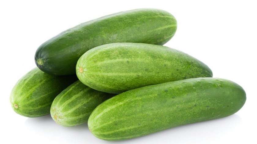 Digomi glass cucumber 0.5kg