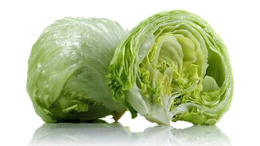 Salad "Iceberg" 0.5-0.6 Kg