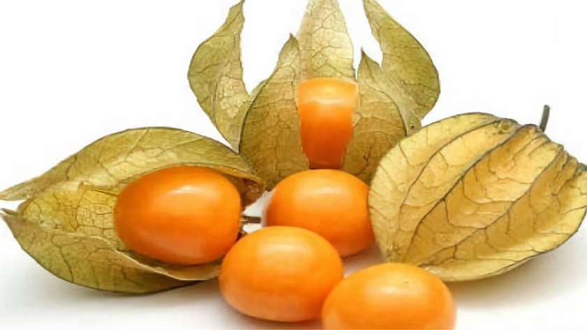 Physalis 100G (1 Pack)