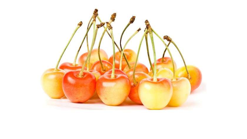 Variegated Cherry 0.5Kg