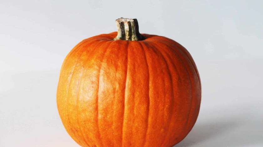 Red Pumpkin 2.2-2.3Kg