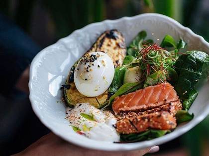 Poke with salmon, grilled avocado, egg and Greek yogurt