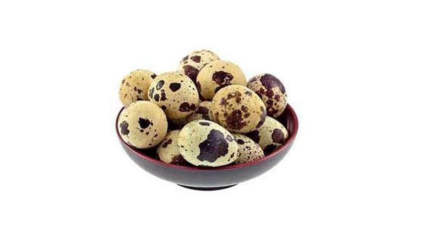 12 Quail Eggs
