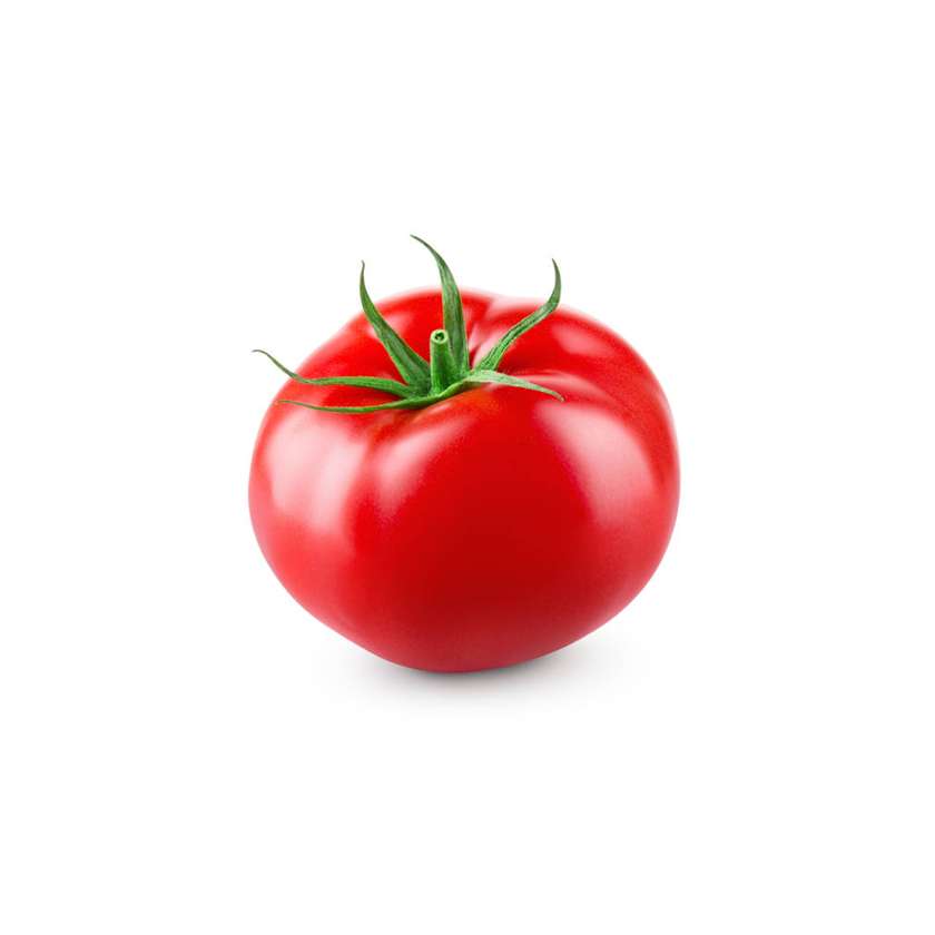 Tomato