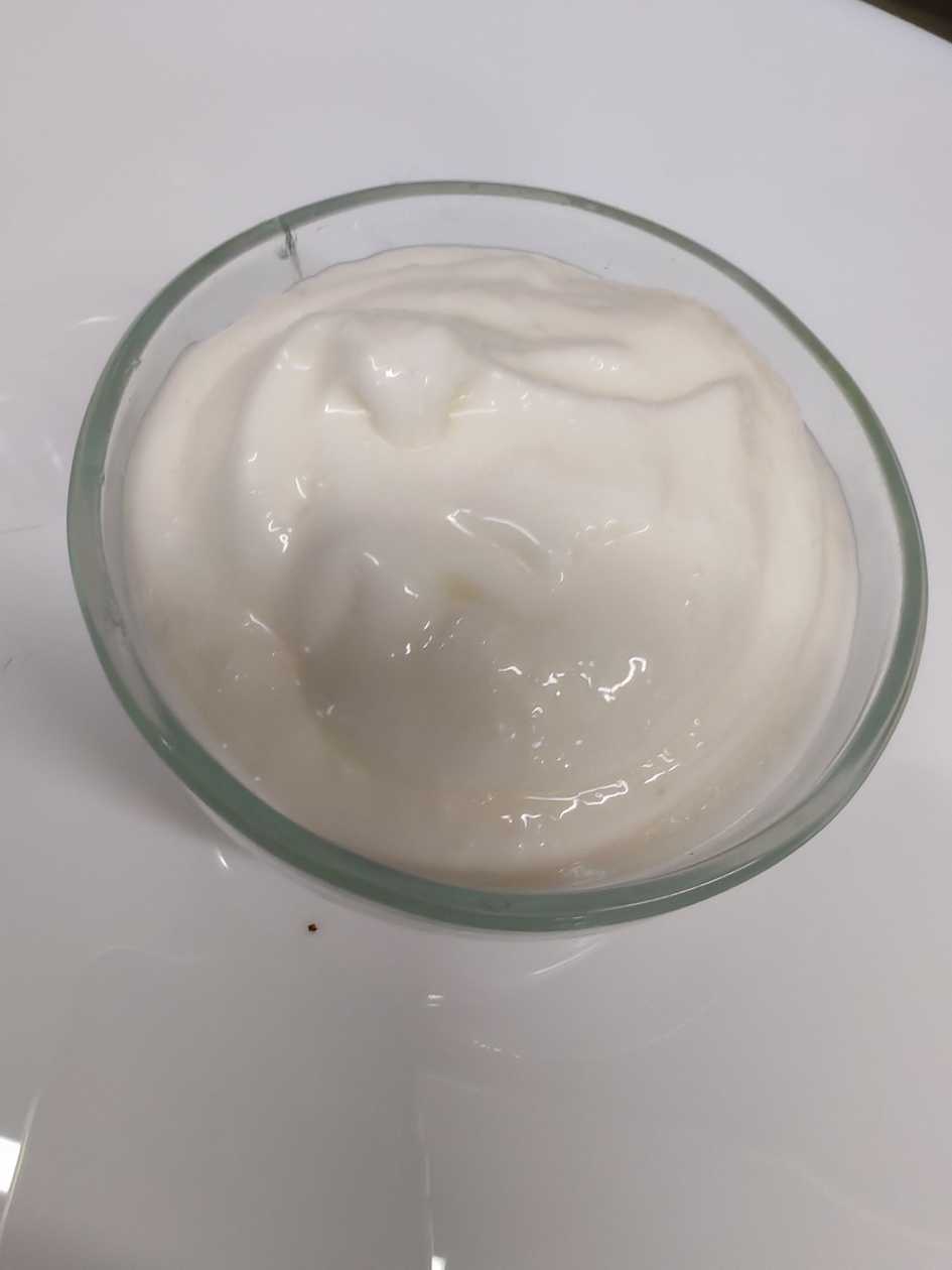 Garlic Mayonnaise