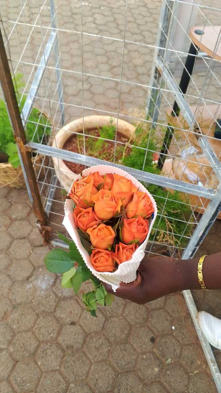 10 Stems Orange Roses