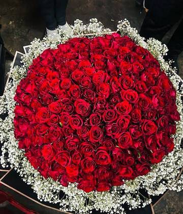 Red Roses with Gypso Bouquet