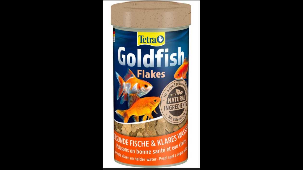 tetra gold fish flakes food 250ml