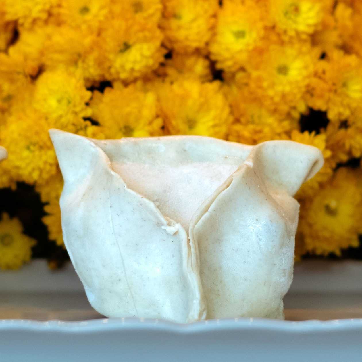 ❄️St Martin Goose Empanada