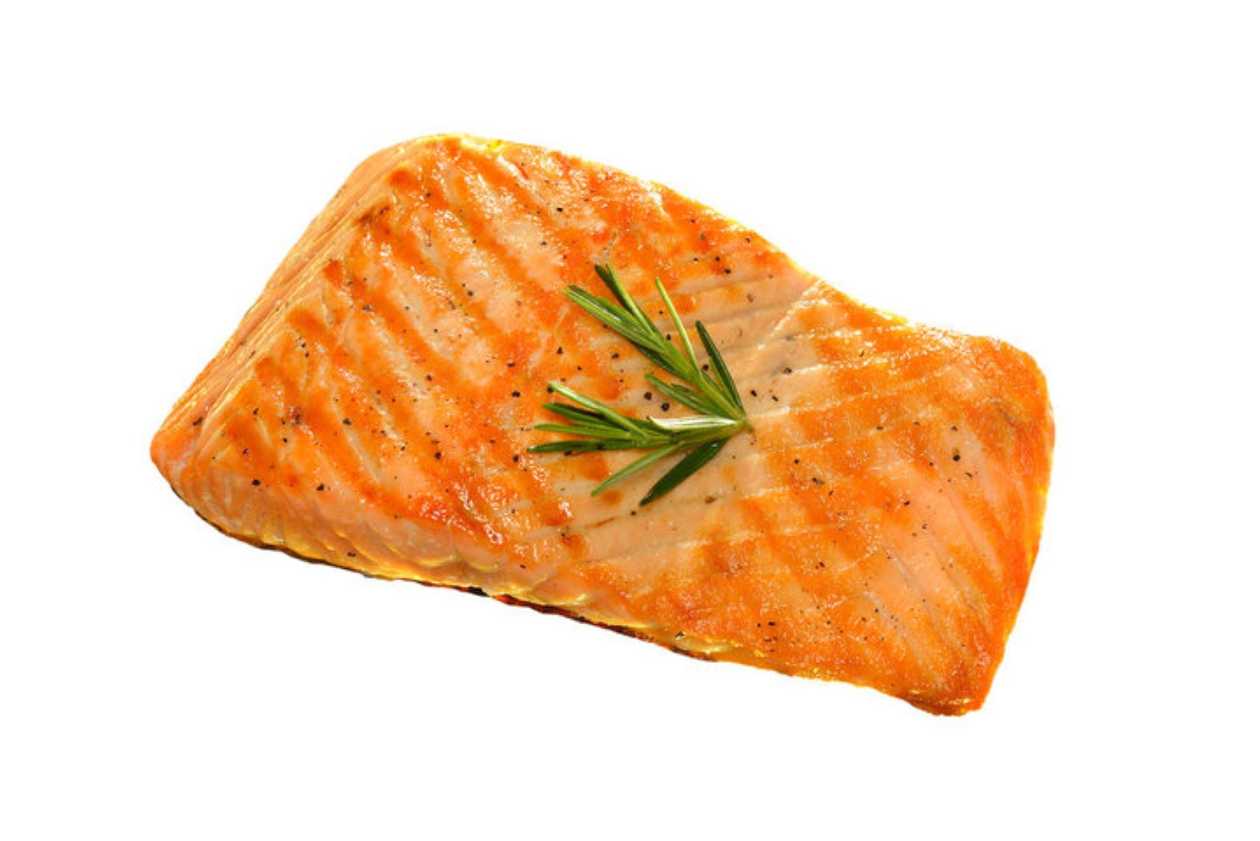 Salmon fillets