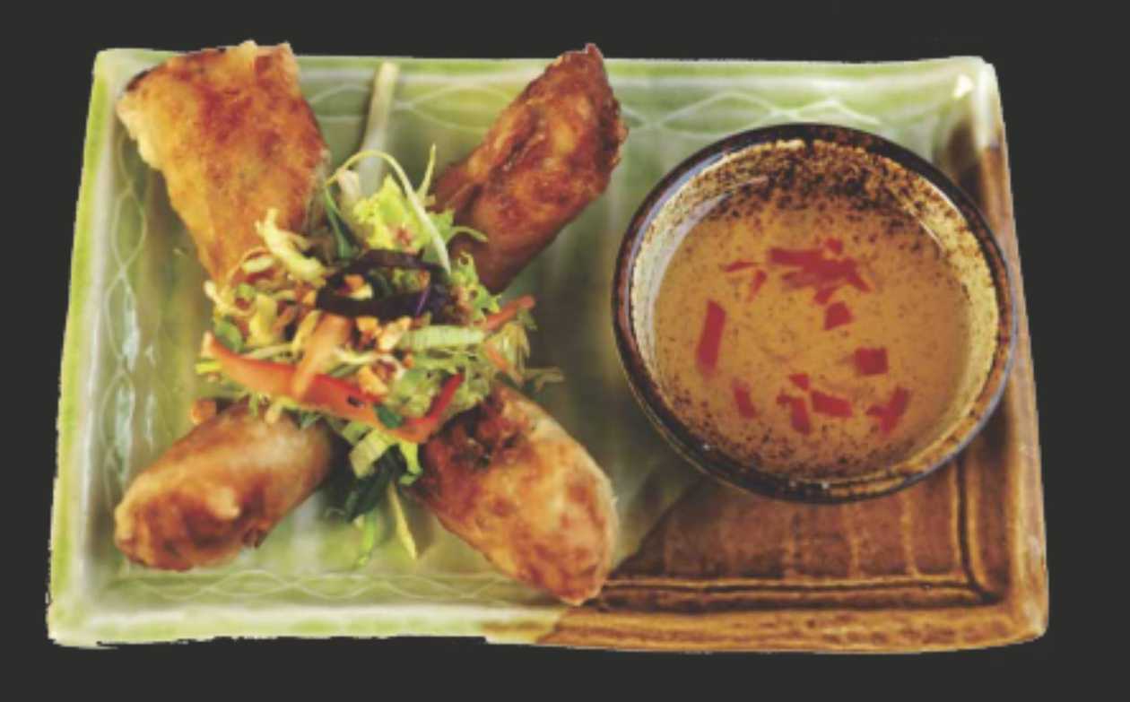 24. Spring Roll