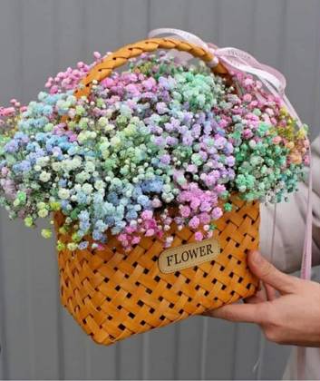 გიფსოფილები ჩანთით