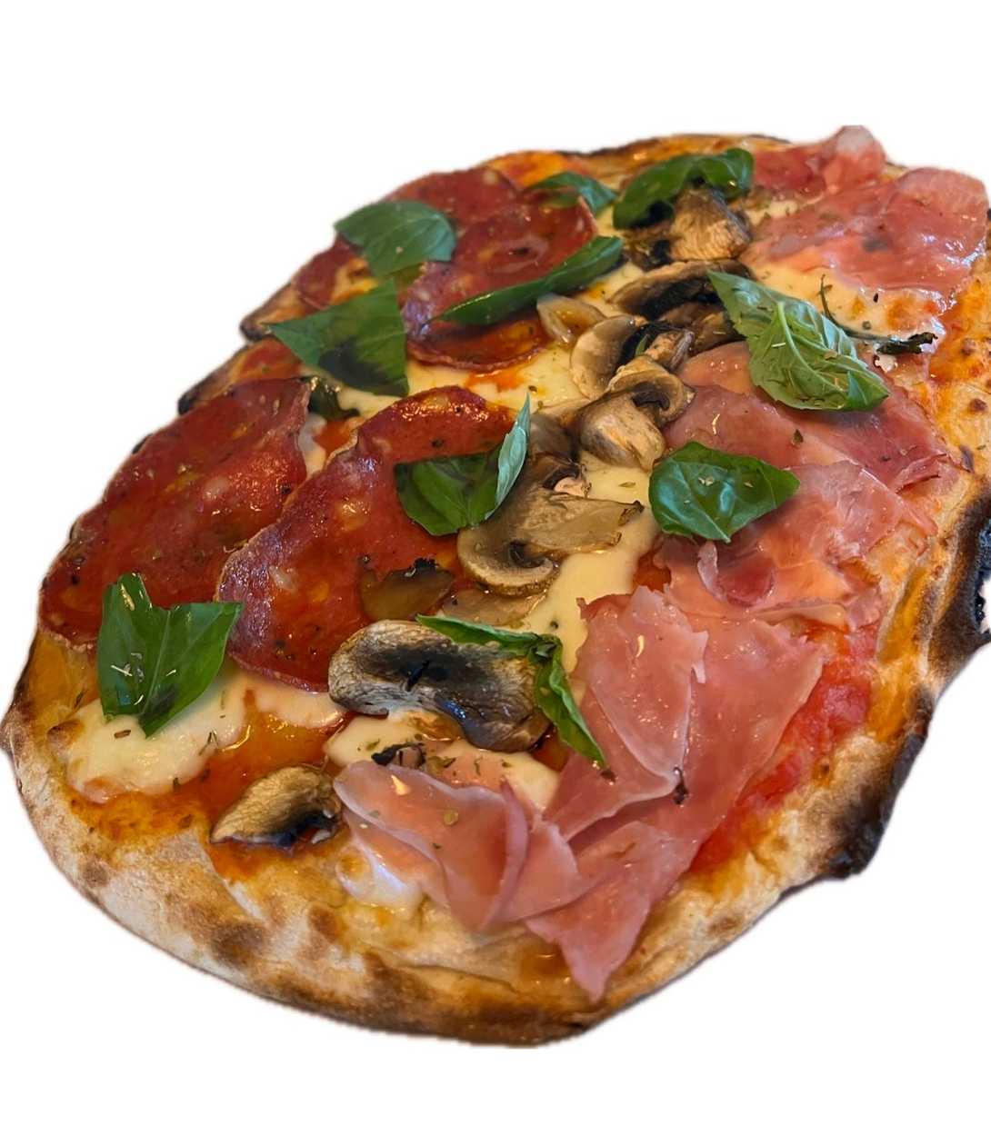 Pinza No. 15 -PINZA ROMANA