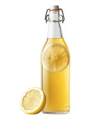 Orange Lemonade 0.45L