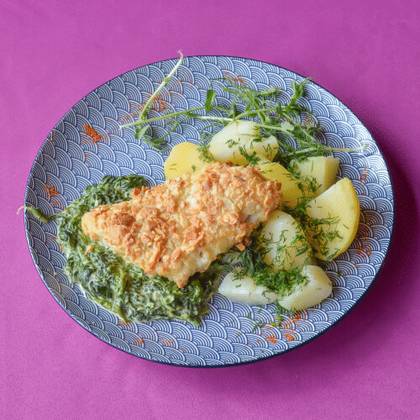 Sandacz w migdałach na szpinaku