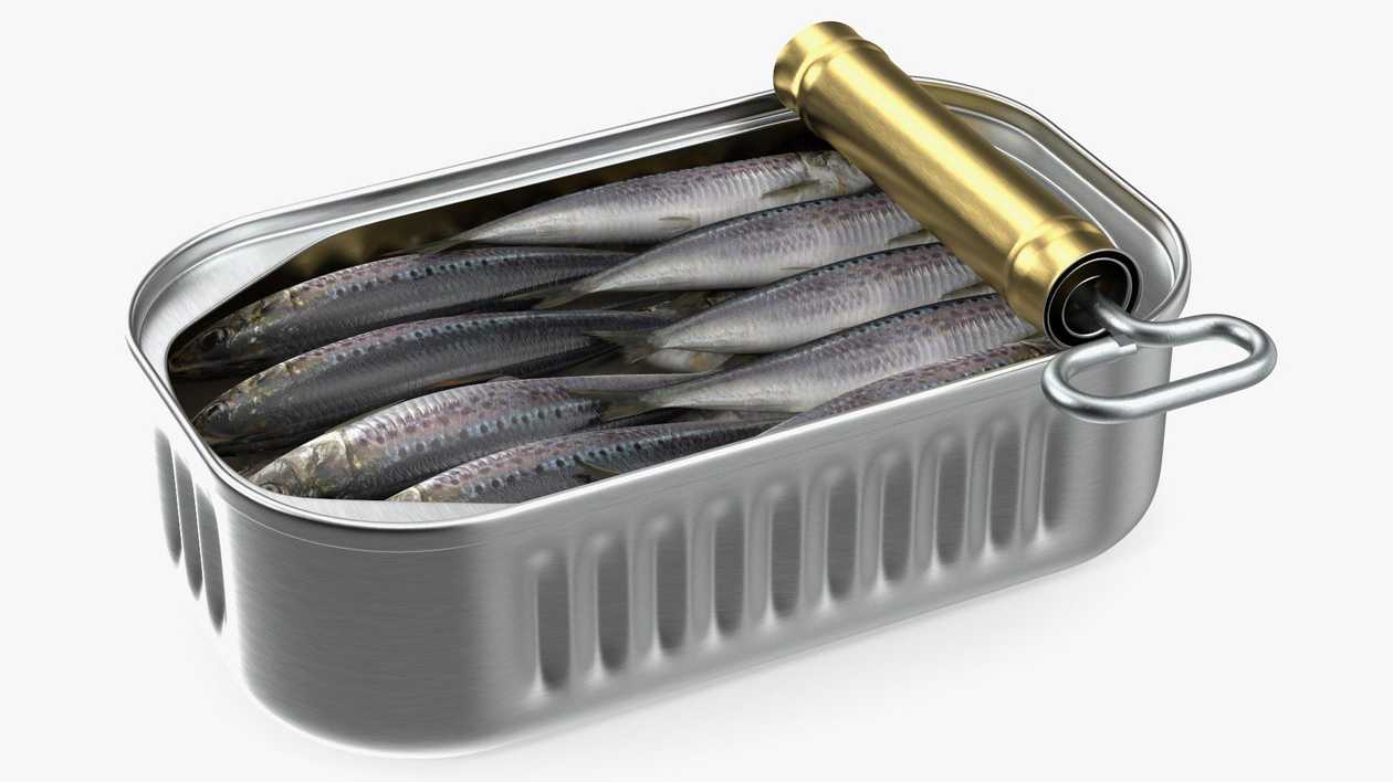 Sardine