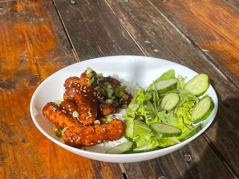Rice with Chicken in Unagi Sauce